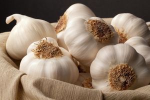 Sarımsak Çayının Faydaları Nelerdir Hazırlanışı Nasıldır?