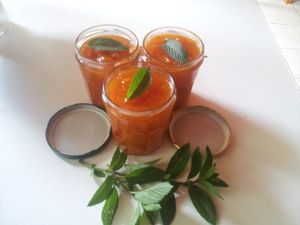 Confiture Abricot menthe fraîche "fin de marché"