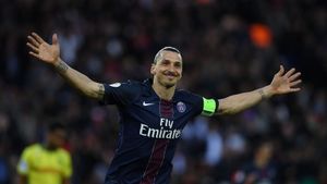 Jour 361 : Lettre à Zlatan Ibrahimovic
