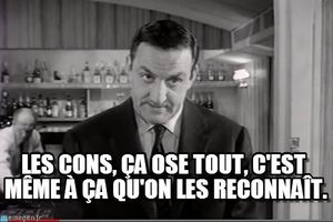 Jour 362 : Lettre aux cons