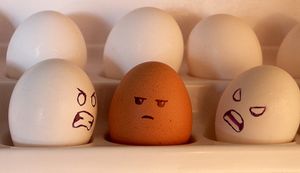 Jour 363 : Je crois que je suis raciste...