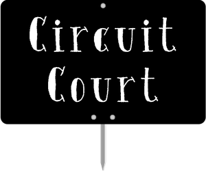 Circuit court – article 905 du code de procédure civile