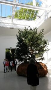 Entre Pavillon de France à la 56e Biennale de l'art de Venise et palais de Tokyo. Un nouveau Songe de Poliphile selon Céleste Boursier-Mougenot ? Brèves de la 56ème Exposition internationale d'Art – La Biennale di Venezia 2015 (VI).