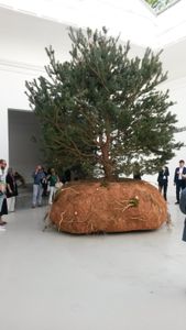 Entre Pavillon de France à la 56e Biennale de l'art de Venise et palais de Tokyo. Un nouveau Songe de Poliphile selon Céleste Boursier-Mougenot ? Brèves de la 56ème Exposition internationale d'Art – La Biennale di Venezia 2015 (VI).