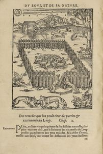 La bibliothèque cynégétique du Verne. Un coup de fusil réussi ! (article actualisé avec les adjudications)