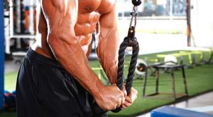 Beginner Bodybuilding Program!