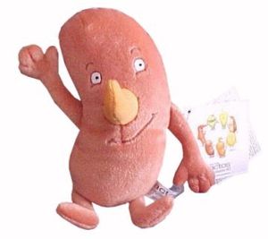 Un rein en peluche