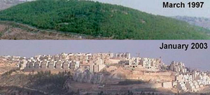 La colonisation des terres palestiniennes