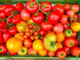 Sauce tomate végétale crue