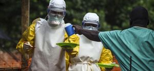 Un vaccin contre l'Ebola bientôt testé sur des humains.