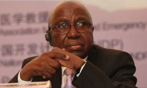 Xénophobie en Afrique du Sud : le Nigeria rappelle son ambassadeur