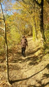 Escapade en automne
