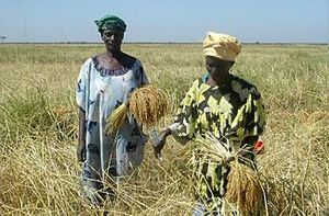 PROTÉGEONS LES AGRICULTEURS !