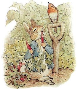 Sacrée Beatrix Potter