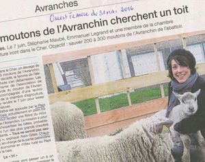 "Adopte une avranchine" : notre mission associative