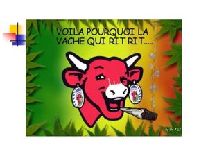 ... Elle a brouté de la Clipperton...