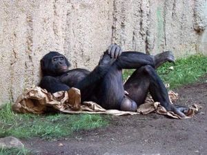 Sieste active...