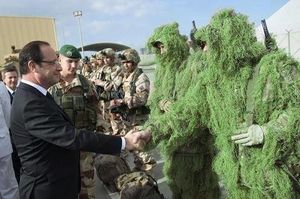 Les Verts prennent le maquis !