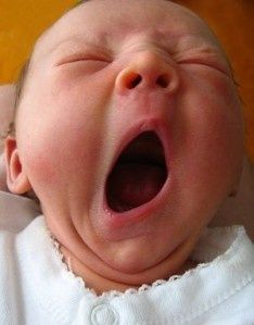 Maman j'ai faim !