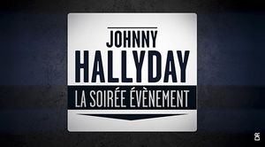 La soirée Johnny Hallyday en tête des audiences sur TF1