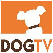 DOGTV, la première chaîne pour les chiens arrive en France