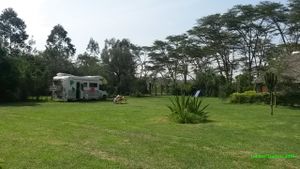 Kenya 2 - L'ouest humide