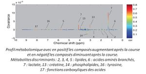 Premier article dans une revue scientifique internationale