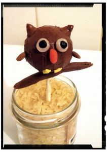 les cake-pops super chouettes ( noisette-mousse au chocolat )