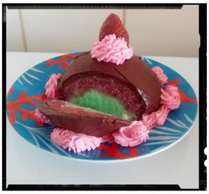 dôme glacé pistache fraise et son chocolat