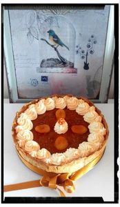 Une tarte 4 en 1 oui oui une tarte magique abricot thym