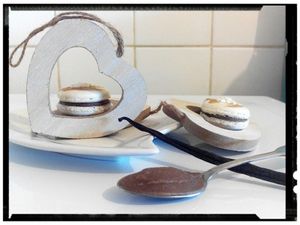 macaron marron vanillé