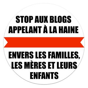 Un article sérieux sur les blogs de la haine envers les mères