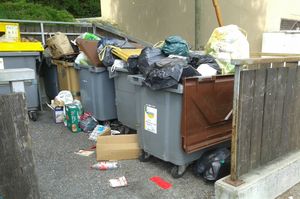 Les habitants des 3 tours à Chantemerle se mobilisent pour leur cadre de vie