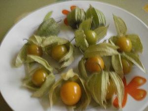 les physalis , cousines de nos tomates