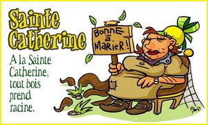 une méteo exceptionnelle en novembre