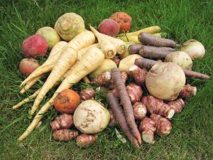 légumes d'antan