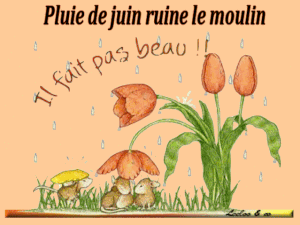 Fin juin , déjà la mi année , l'été arrive ,