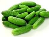 cornichons de notre jardin