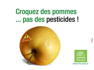 La grande tragédie des cides ( pesticides )