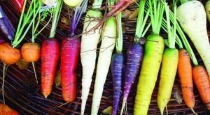 Mangeons nous des légumes hybrides ?