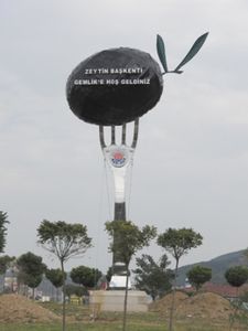 L'olive de Gemlik et sa suberbe " sculpture"....