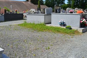 Notre pauvre cimetière