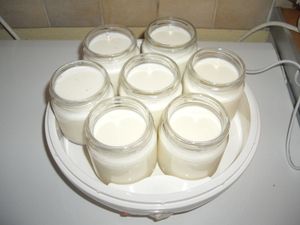 yaourts maison