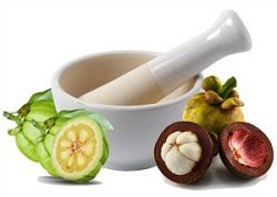 Top Questions to Ask when Using Garcinia Cambogia Extract