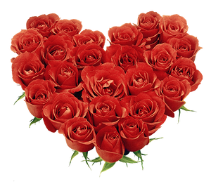 Saint Valentin, je t'aime...