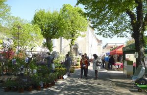 Le Salon Jardin Passion
