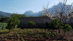 Jardinage... et paysages