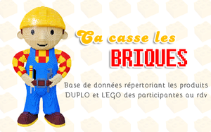 Ca casse des briques! #1