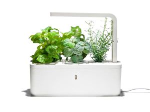 Mon "Smart" jardin
