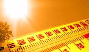 Canicule au travail : quels sont vos droits ?